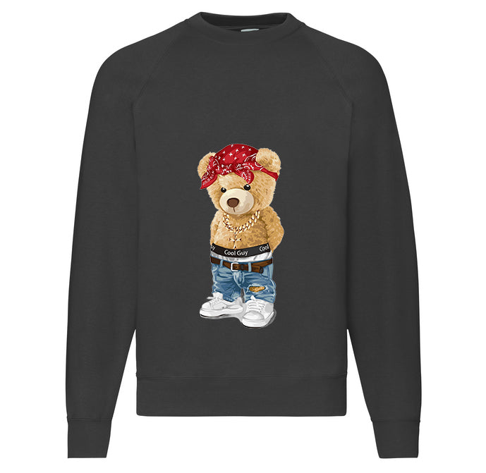 Eco-Friendly Hip Hopper Bear Pullover